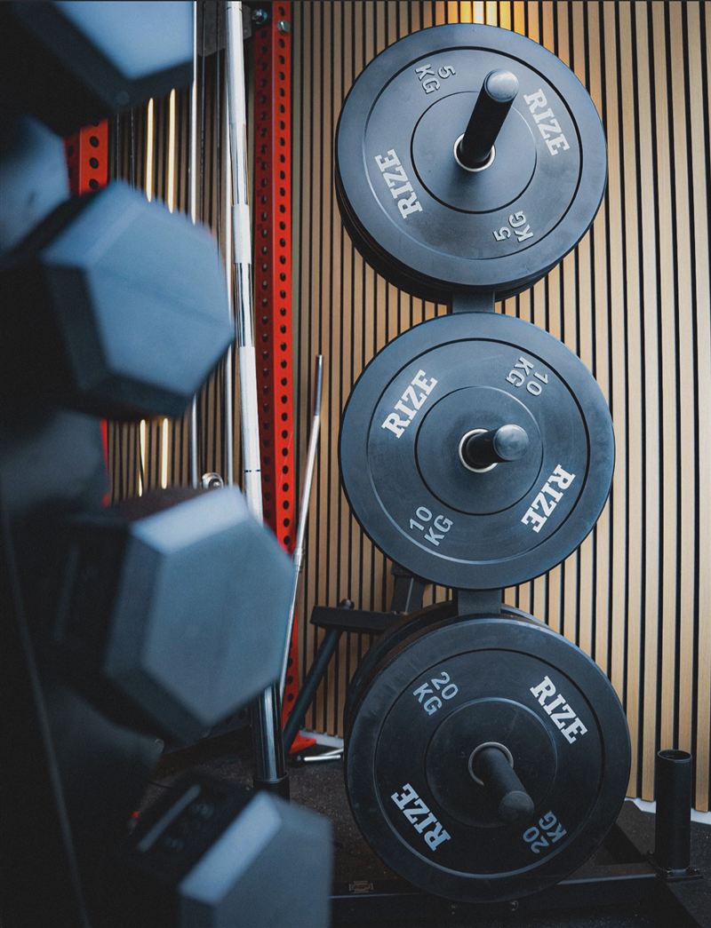 Disques de musculation et haltères du studio